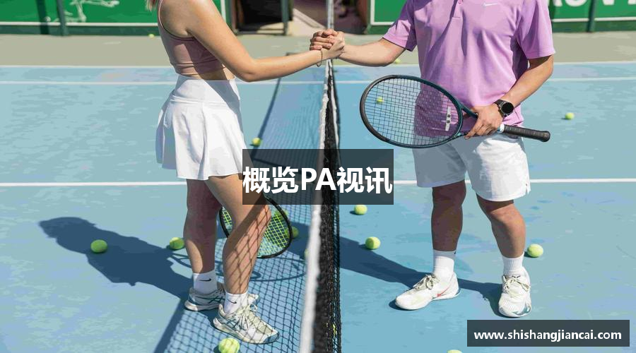 概览PA视讯